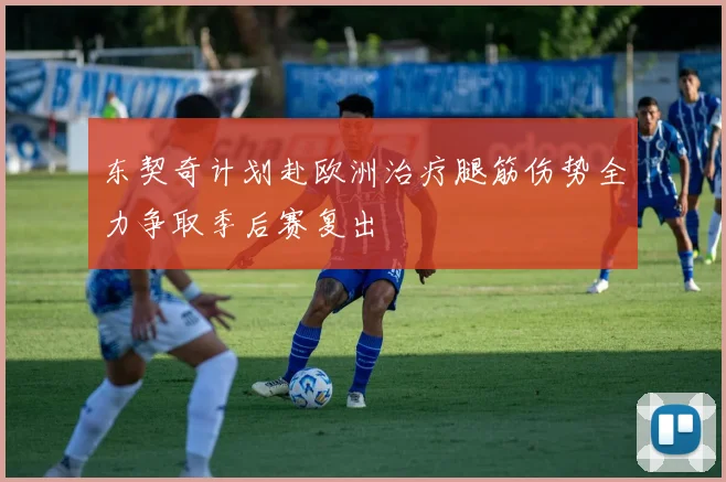 东契奇计划赴欧洲治疗腿筋伤势全力争取季后赛复出